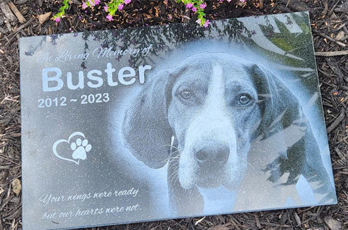 Pet stone memorial grave - pet,