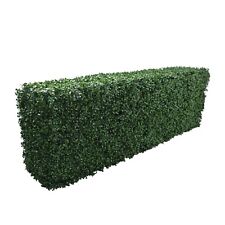 Premium Freestanding Artificial Boxwood Hedge on a Metal Frame - Short