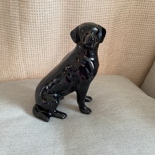 Black Labrador Dog   Glazed