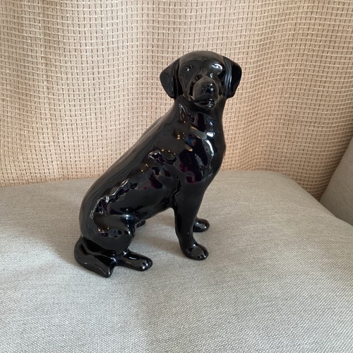 Black labrador dog glazed - labrador,