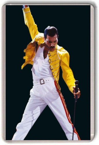 Freddie mercury queen - freddie, fridge