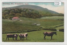 HURSTPIERPOINT   Sussex