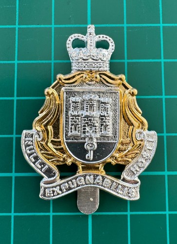 The gibraltar regiment - the,