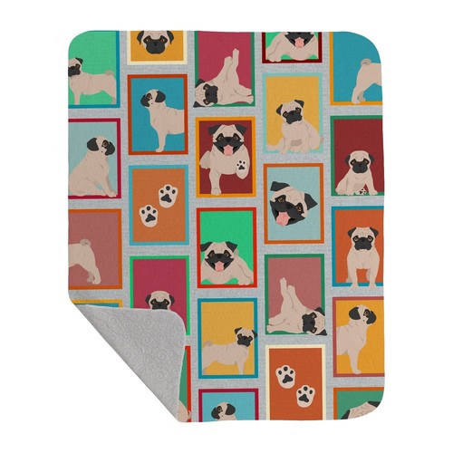 Lots fawn pug - lots,