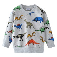 Dinasour Boys Kids Sweat Top and Joggers Set Tracksuit Set