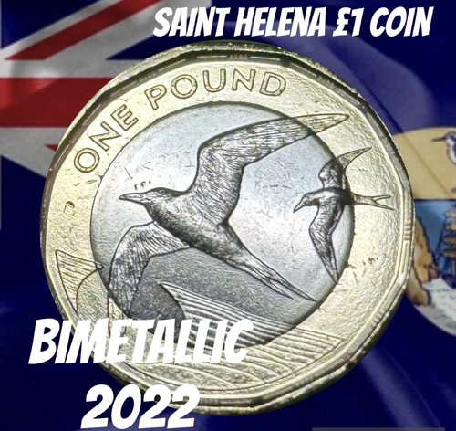 Saint helena coin pound - saint,