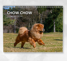 Chow Chow Calendar 2026