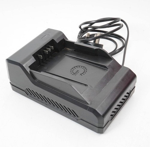 Genuine gtech 48v ion ch29 - genuine, li-ion