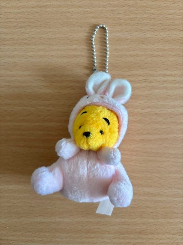 Winnie the pooh - winnie, rabbit