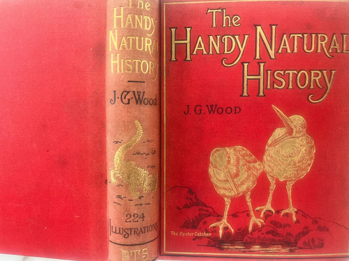Rev wood the handy - rev, g