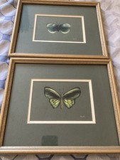 2 Beautiful Butterflies Pastel On Green Backing Unsure Of Artist See Pics