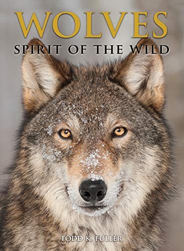 Wolves spirit the wild - the,
