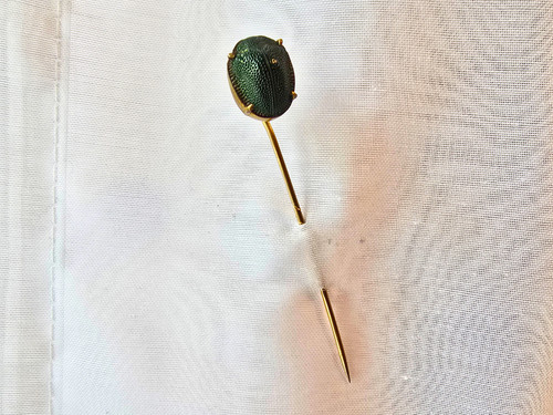 Victorian genuine scarab - genuine,