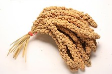 1KG Premium Millet Spray 1kg Cage Bird Hanging Treat Budgie Canaries Cockatiels