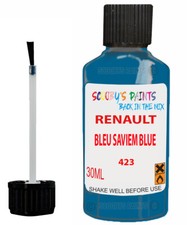 Paint Touch Up For Renault