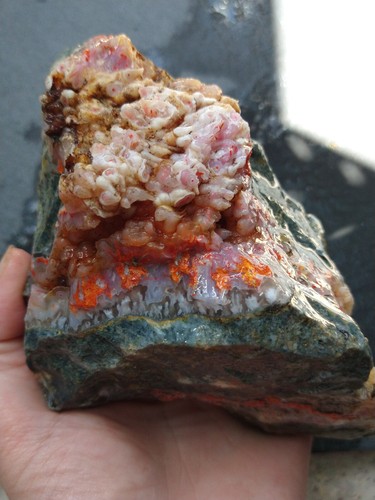 Vibrant orange seam plume - orange,