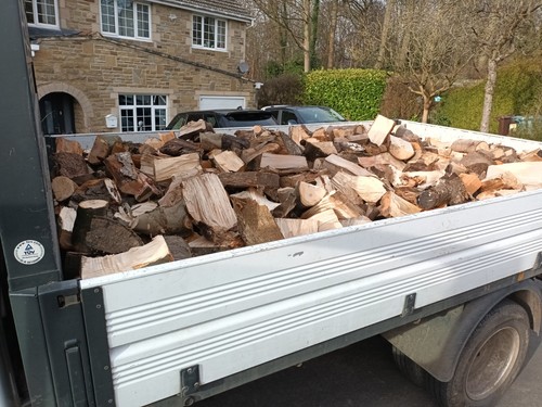 Logs fire wood - logs, bags