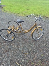6 Speed Tricycle Gold