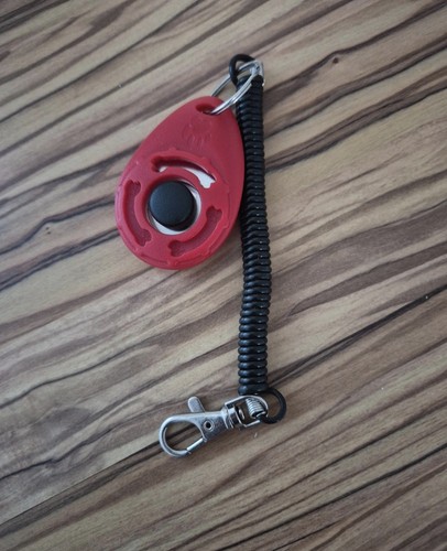 Dog training clicker cat - training, puppy