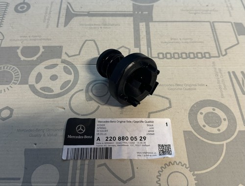 Mercedes benz w220 class - mercedes-benz,