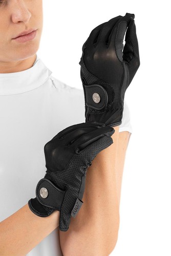 Ladies horse riding - horse, gloves