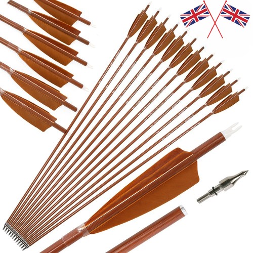 12x sp500 carbon - carbon, arrows
