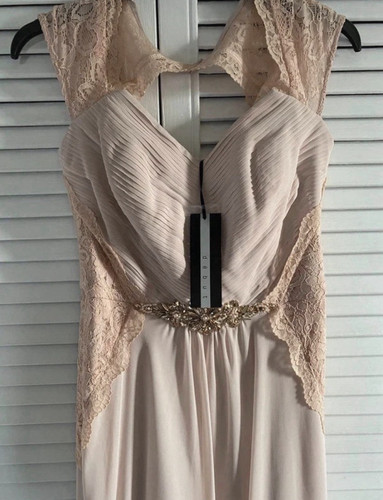 Debenhams debut rose - debenhams,