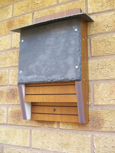 Twin chamber upvc - bat, nest