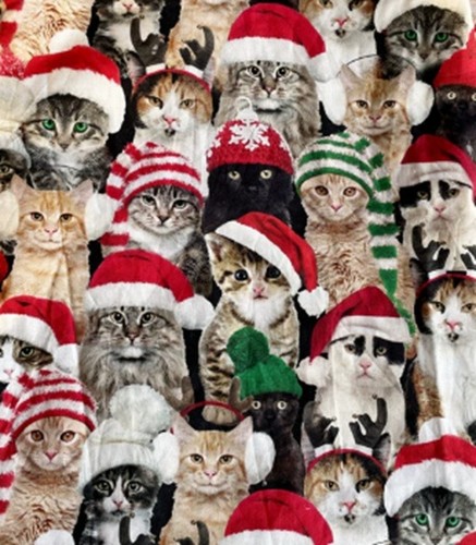 Christmas cat greetings - christmas, 1/2