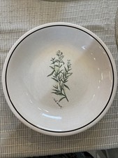 Williams Sonoma Dish