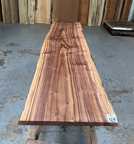 American walnut - american, (20-25mm)