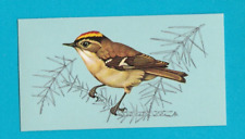 BRITISH BIRDS - TETLEY TEA - CARD NO. 30  -  GOLDCREST  -  1970