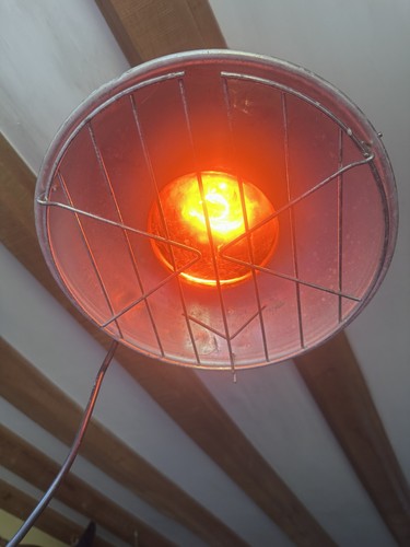 Turnock infrared 250w - ❌turnock,