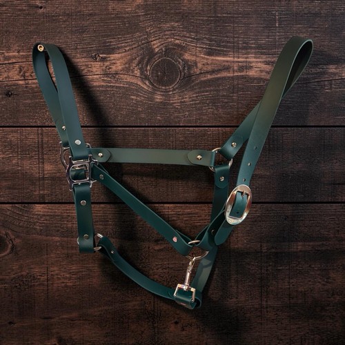 Dark green biothane headcollar - dark,