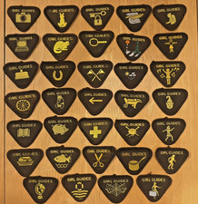 Girl Guide Brownie Interest