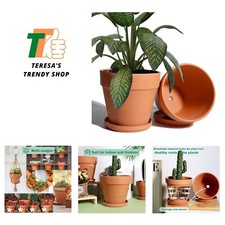 8 Inch Clay Pot for Plant with