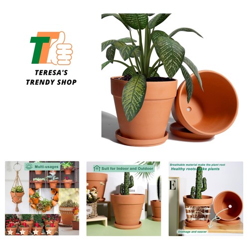 Inch clay pot - 8, plant