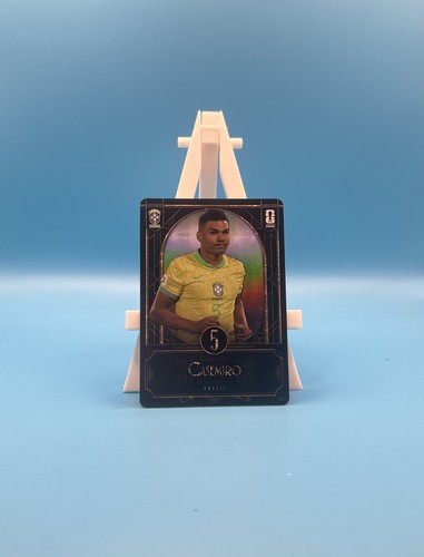 Panini kayou fifa world - x, cup