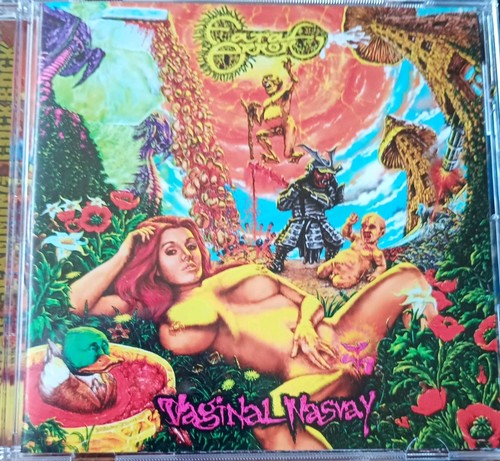 Fatal error vaginal - vaginal, nasvay
