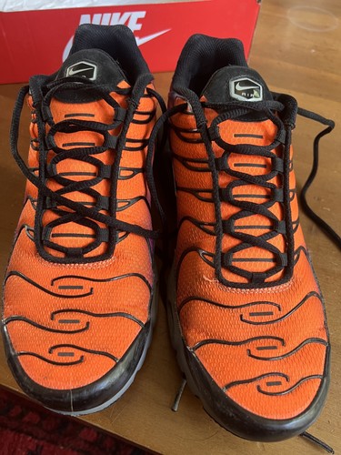 Nike air max plus - tn, desert