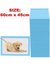 100 Large Puppy Training