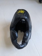 Martial Arts Head Protection