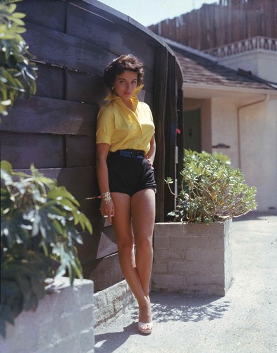 Joan collins glossy photo - glossy, 8.5"