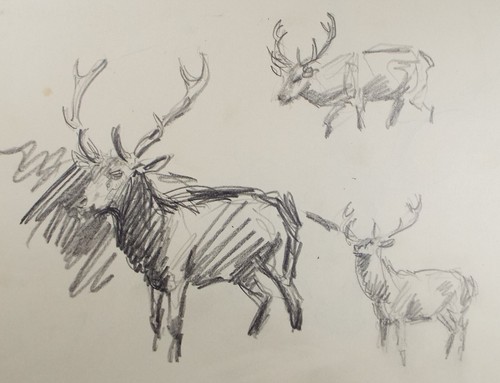 Original pencil sketch - original,