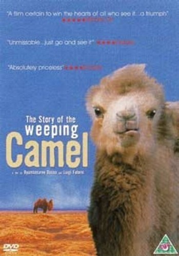 The story - weeping, camel