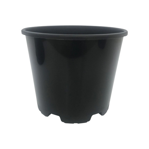 Litre black plant - 15, pots