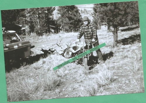 Found 4x6 photo old cushman - found,