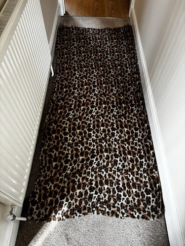 Zara leopard print scarf shawl - zara, scarf/shawl