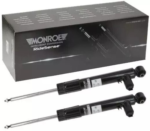 Rear shock absorbers - absorbers, 2