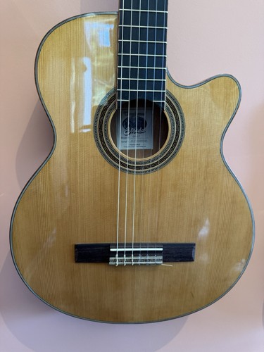 Tanglewood shallow body - tanglewood,